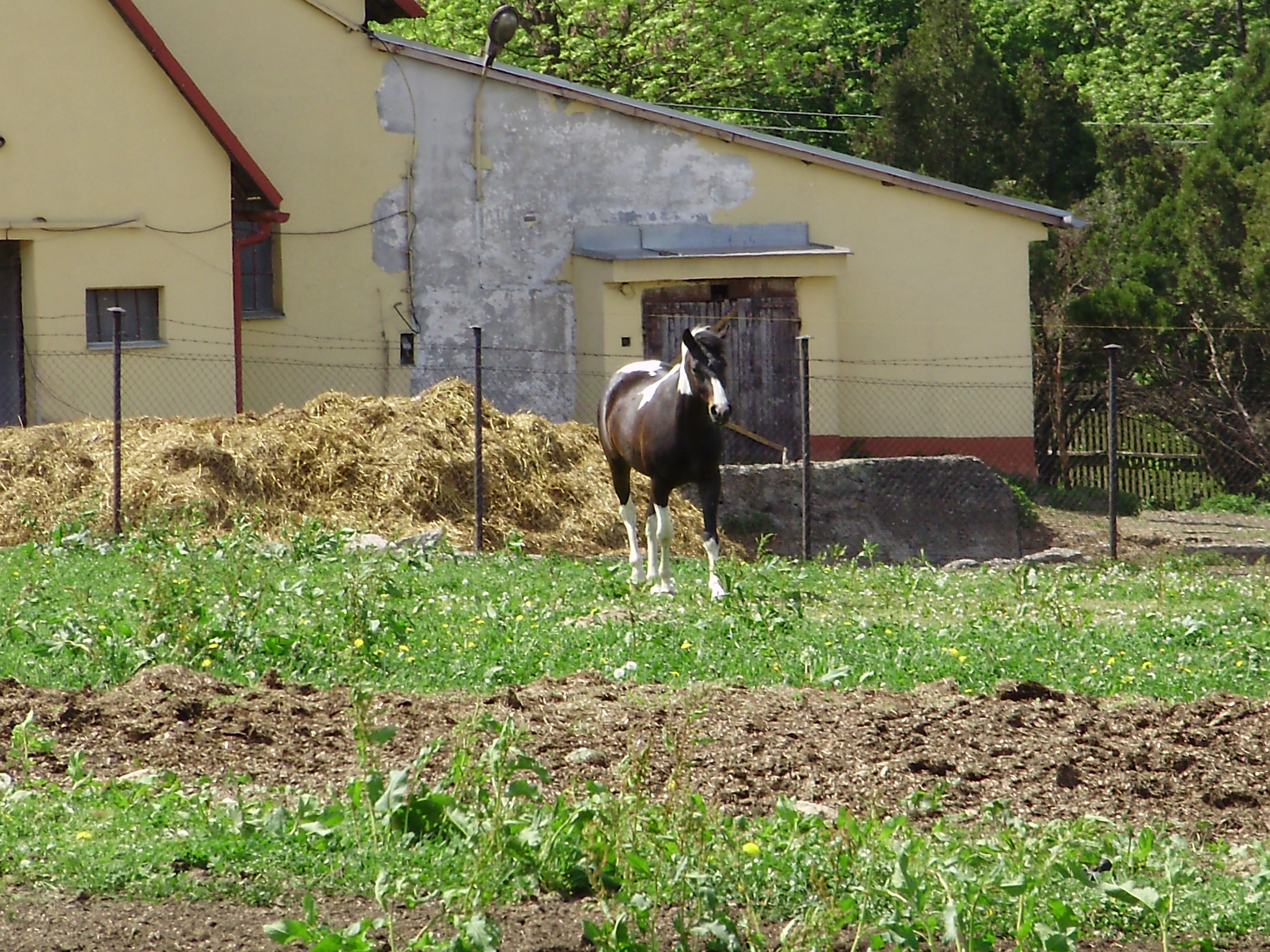 P4090064.JPG