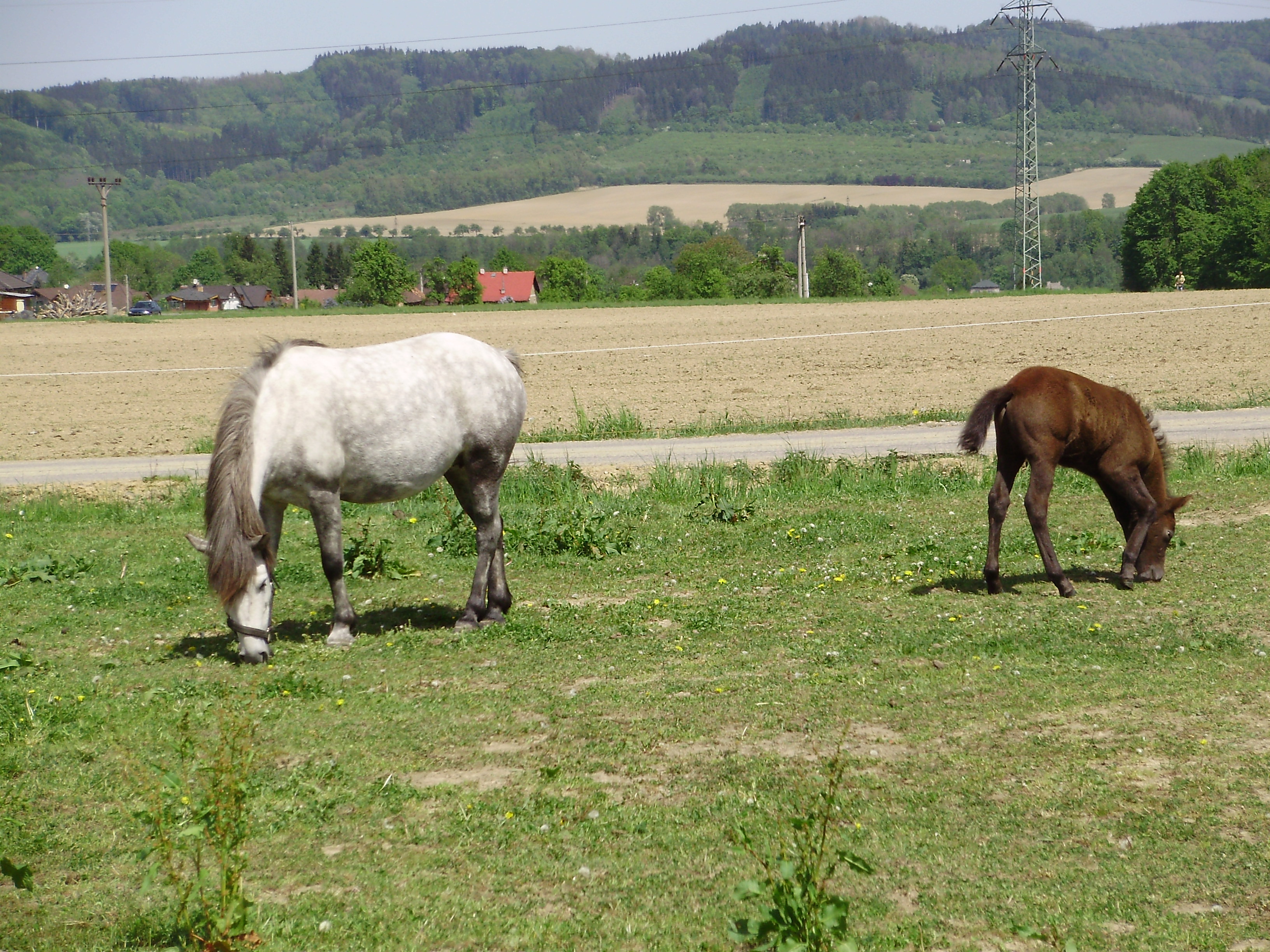 P4090048.JPG